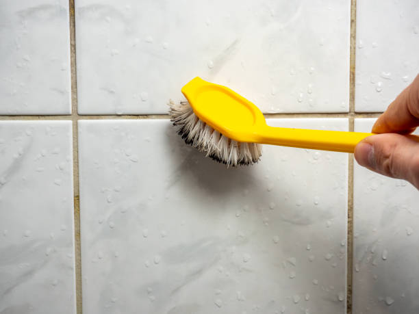 Best Residential Mold Remediation in Schaumburg, IL