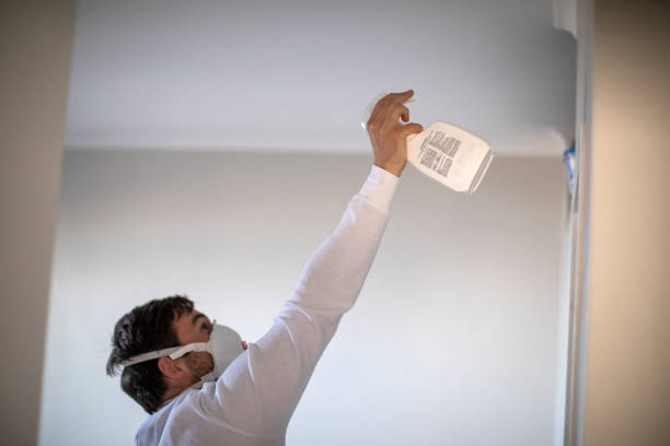 Best Kitchen Mold Remediation in Schaumburg, IL