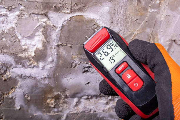 Schaumburg, IL Mold Remediation Company