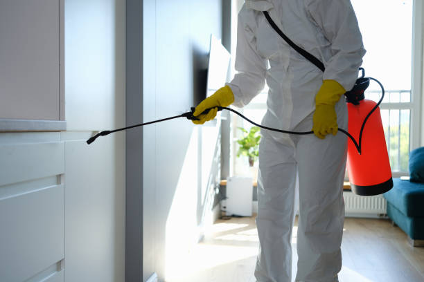 Best Crawl Space Mold Remediation in Schaumburg, IL