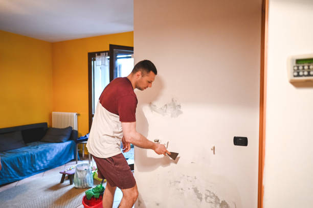 Best White Mold Remediation in Schaumburg, IL
